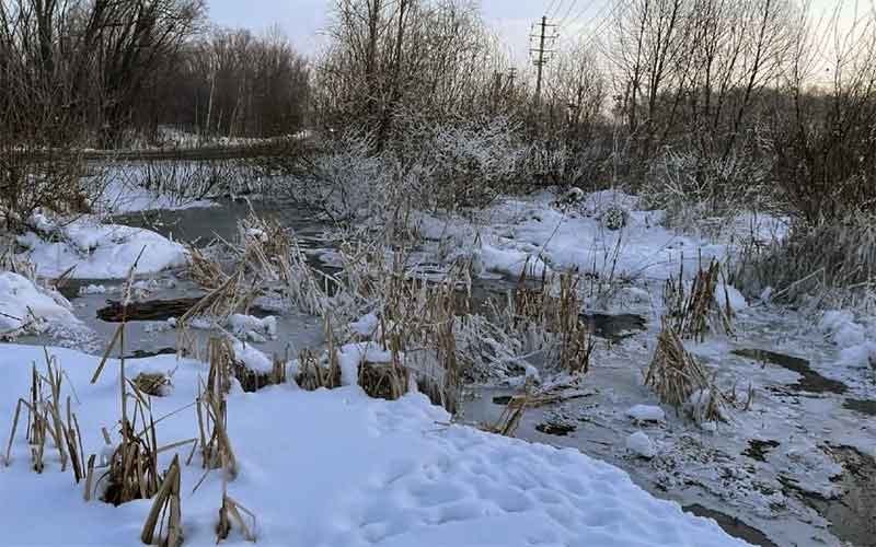 Факт загрязнения Шершневского водохранилища подтвердился