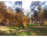 Парк культуры и отдыха им. Гагарина в Челябинске