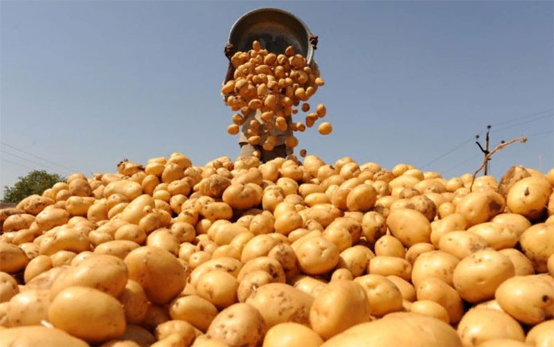 Экспорт сельхозпродукции Компаниям-экспортерам южноуральского АПК помогут субсидиями