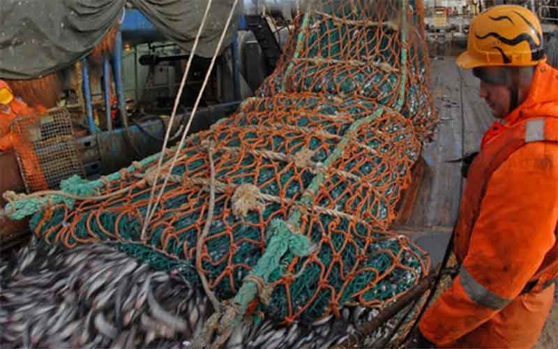 В России рыбаки смогут компенсировать топливные затраты