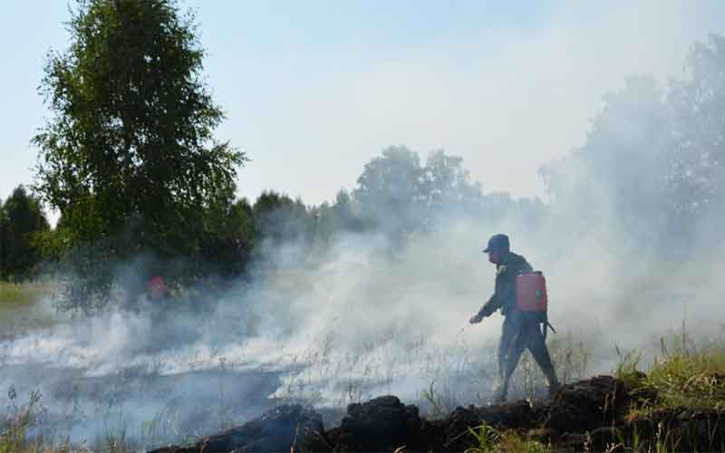 С 10 апреля в лесах Южного Урала стартует пожароопасный сезон