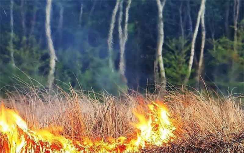 На Южном Урале горят леса