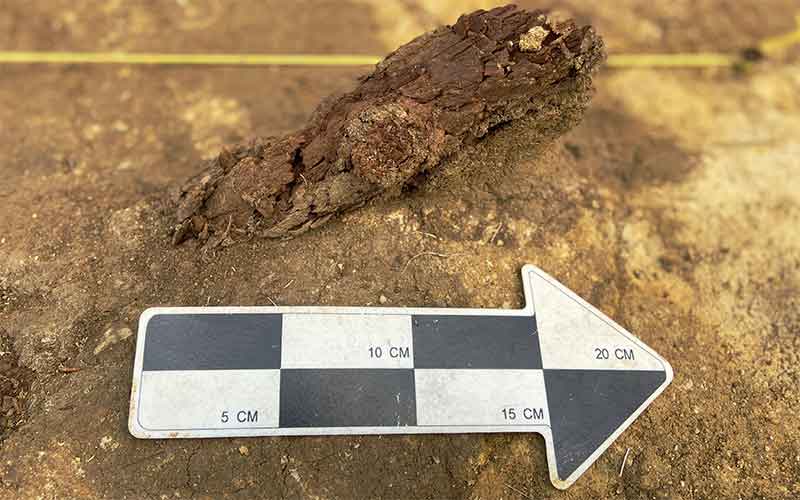 Археологи исследуют массовое захоронение детей на Аркаиме