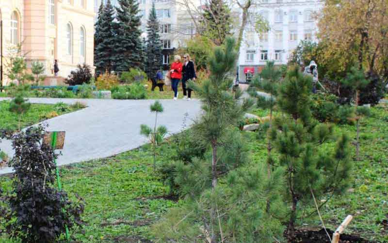 Челябинская библиотека стала победителем эко-конкурса