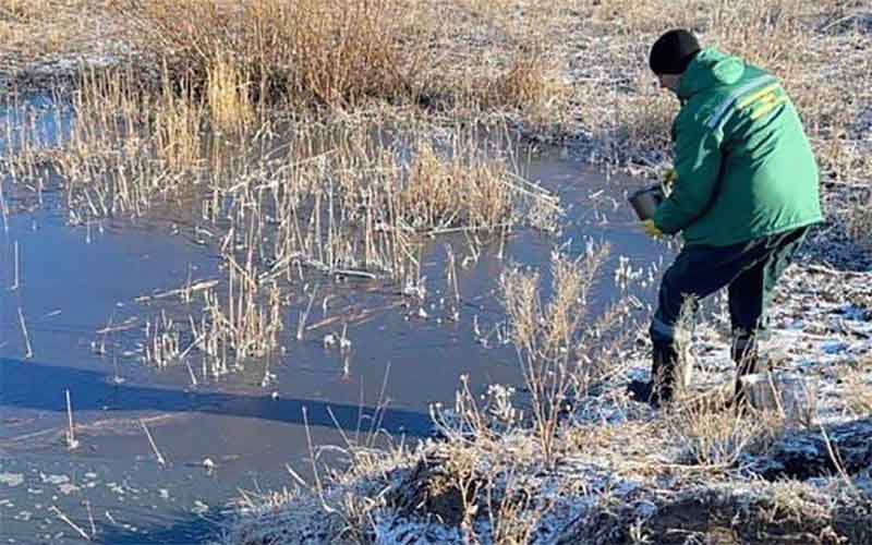 «Ромкор» оштрафуют за причиненный вред экологии Южного Урала