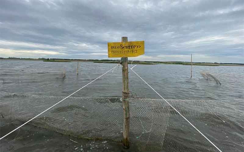 Ставные невода на озере Курлады были установлены с нарушением закона 