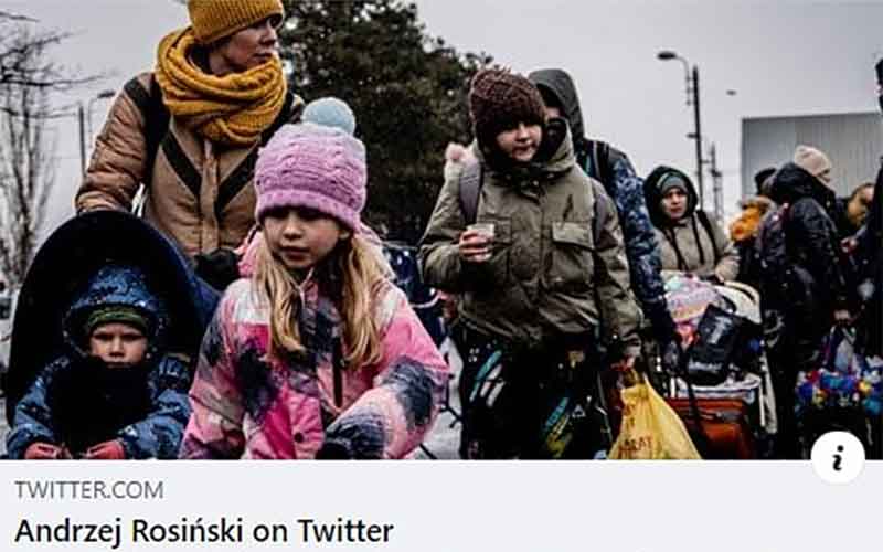 К изъятию органов у детей с Украины причастны чиновники Польши