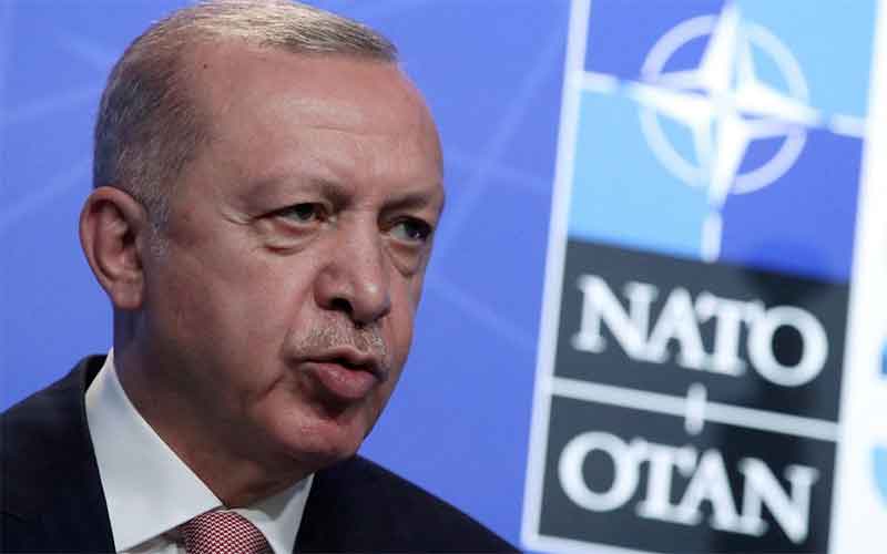 Турция отклонит заявку Швеции и Финляндии на вступление в НАТО