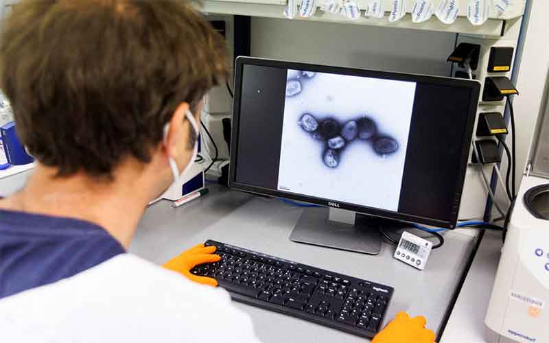 Германия заказала 40 тысяч доз вакцины против оспы обезьян