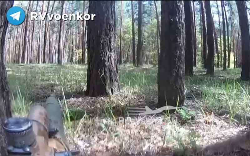 Снайпер спецназа ВС России снял на экшн-камеру охоту в лесу на ВСУ