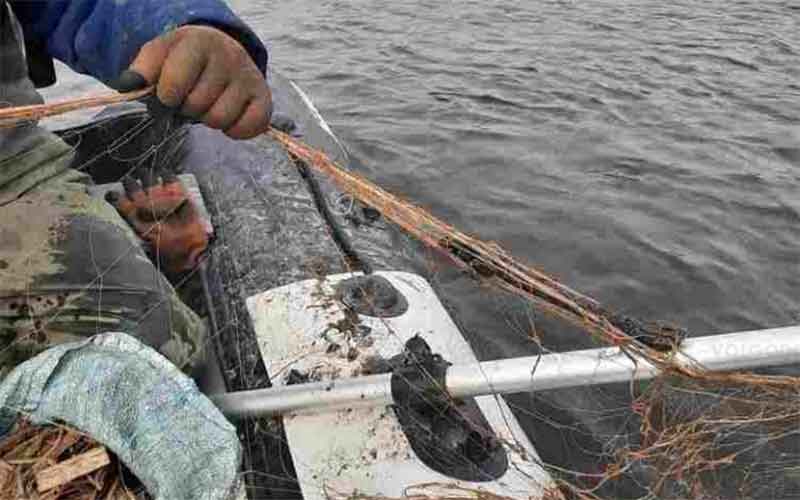 За лов рыбы в реке Урал в нерест сетями браконьер предстанет перед судом