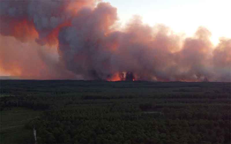 На юге Франции продолжают бушевать лесные пожары