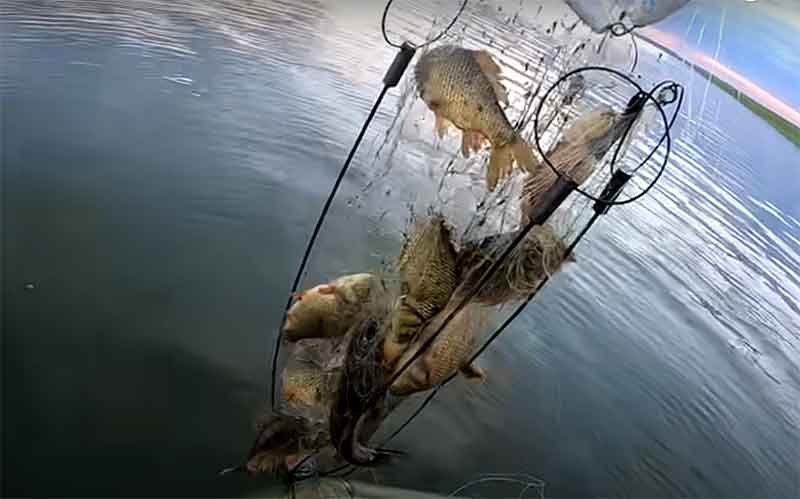 За лов карася сетями на озере Абаткуль рыбак попал под суд