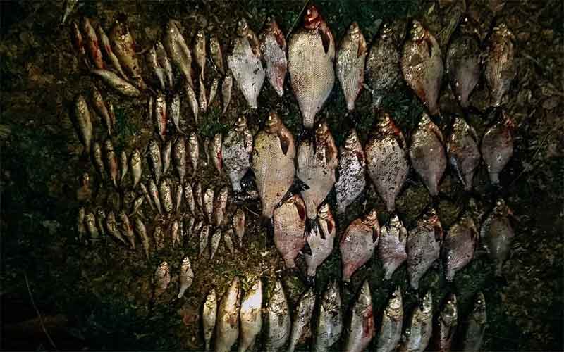 Рыбалка на Магнитогорском водохранилище обошлась рыбаку в 116 210 рублей