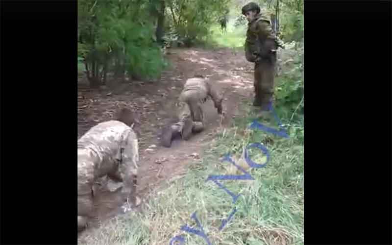 Бойцы ВС России сняли на видео, как солдаты ВСУ на четвереньках ползут в плен