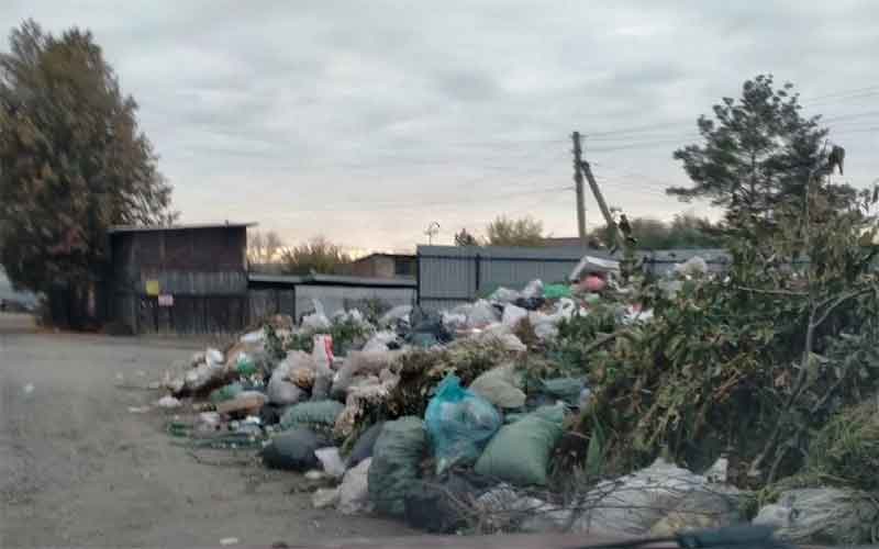 Прокуратура обеспечила вывоз мусора из СНТ «Слава» в Челябинске