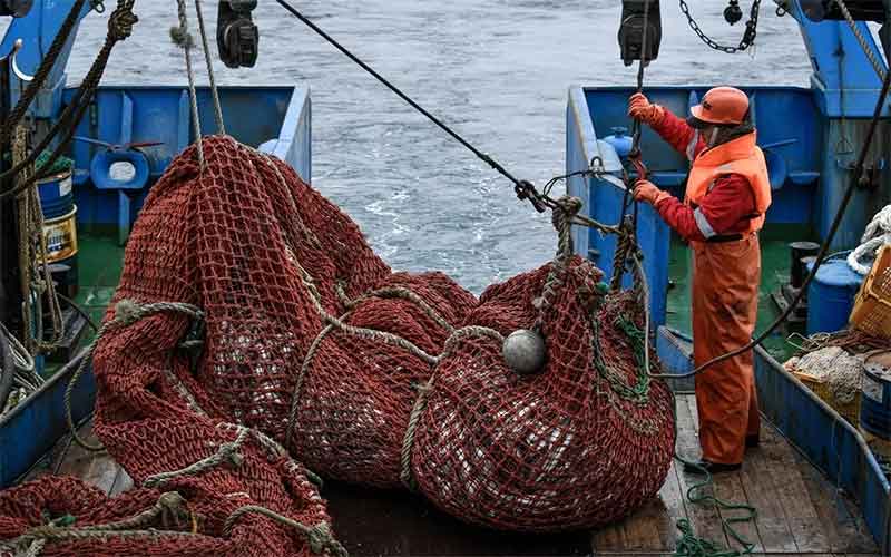 К концу ноября российские рыбаки добыли более 4,5 млн тонн