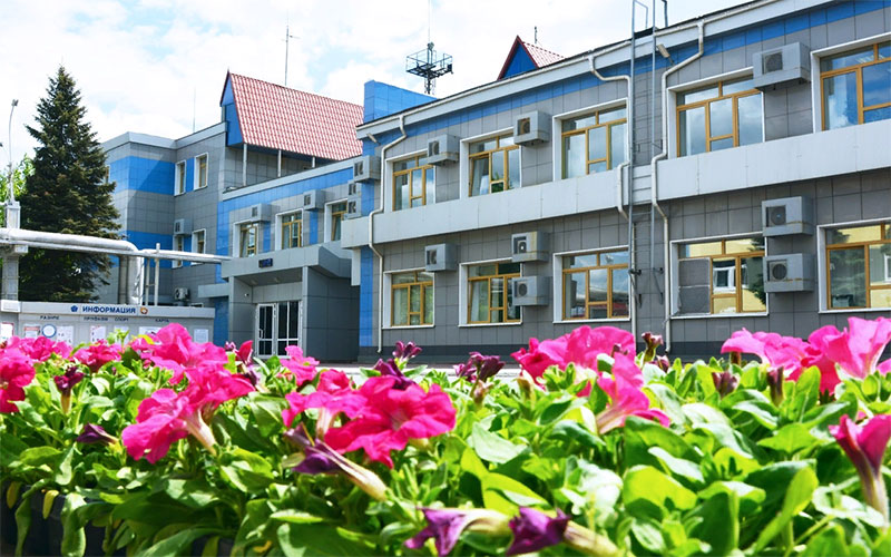Девять тысяч цветов высадили на ЧЦЗ На ЧЦЗ завершилась весенняя кампания по озеленению