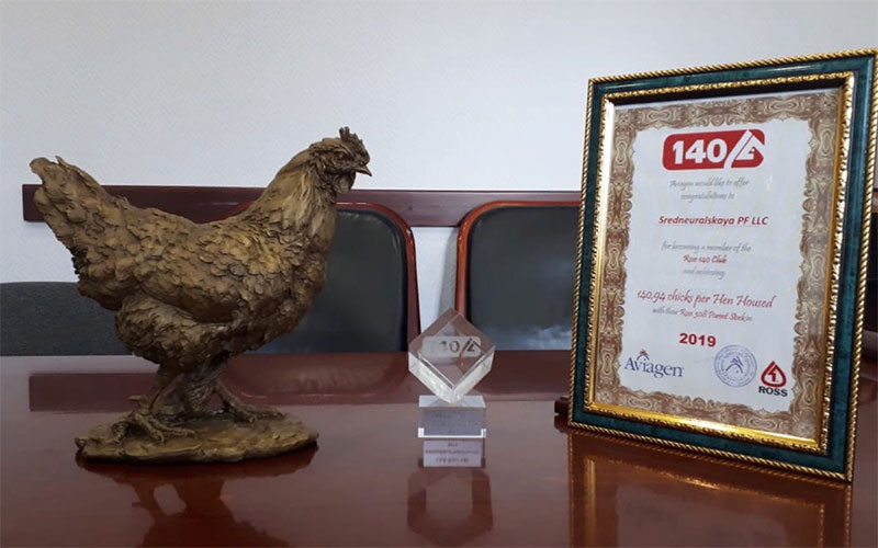 Среднеуральская птицефабрика «Равис» укрепляет свои позиции в племенном птицеводстве