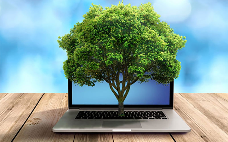 ВТБ запускает онлайн-сервис «Подари лес другу!»