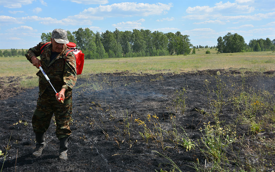 В Челябинской области тушат два крупных лесных пожара