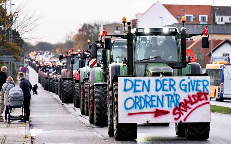 Убийство норок вызвало в Дании правительственный кризис