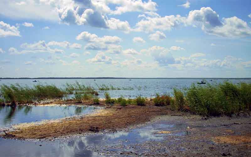 Озеро Аткуль. Берег