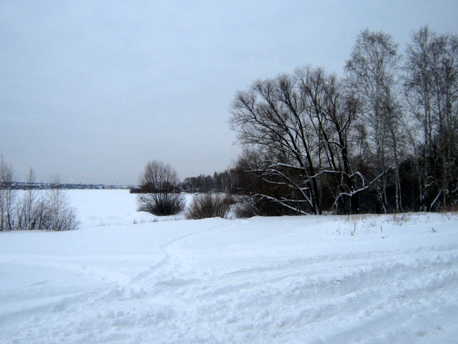 Челябинский бор зимой (фото Куделенского Олега, Челябинск)
