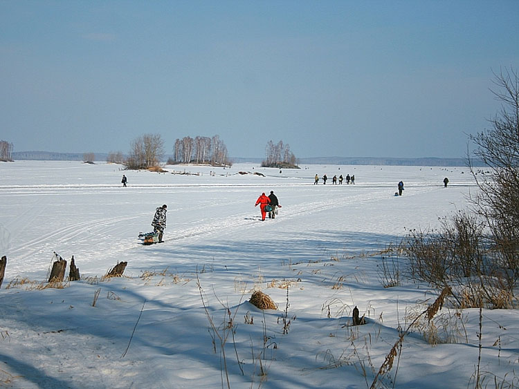 Дружно на рыбалку (фото Федорахина Евгения, Копейск)