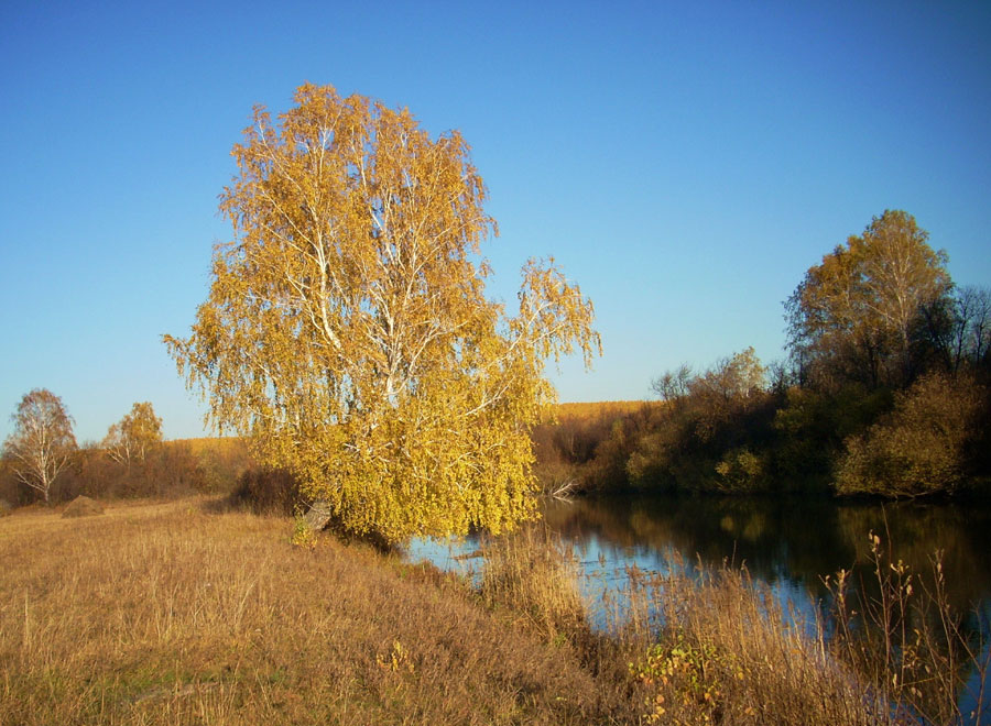 Река Миасс (фото Лабастова Олега, Челябинск)