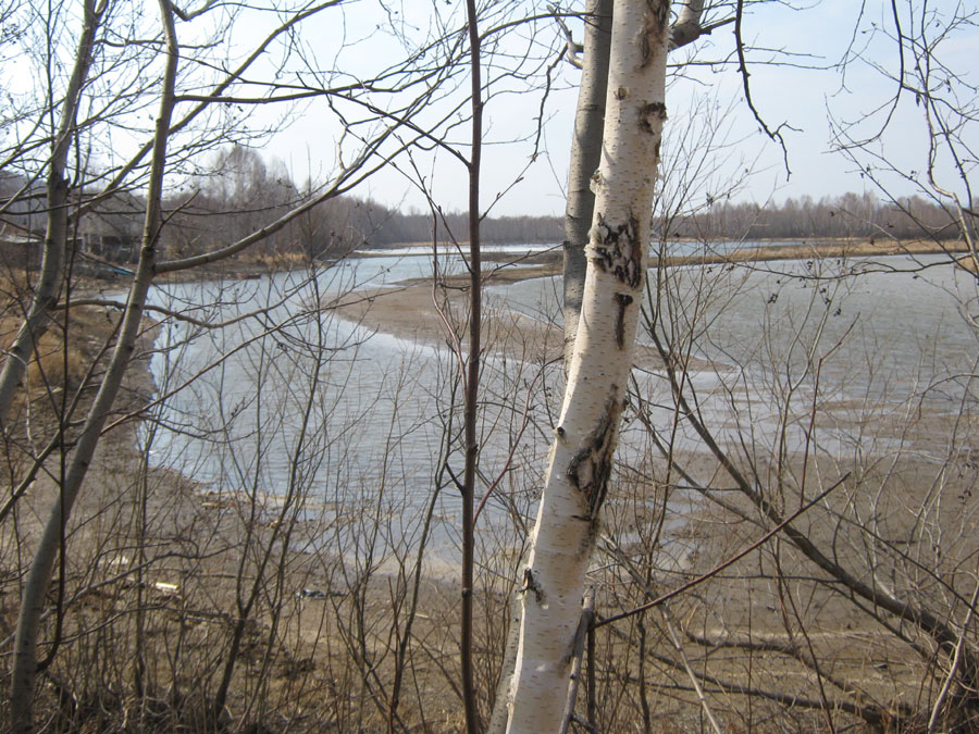 Река Миасс в районе д. Байдашево (фото Куделенского Олега, Челябинск)
