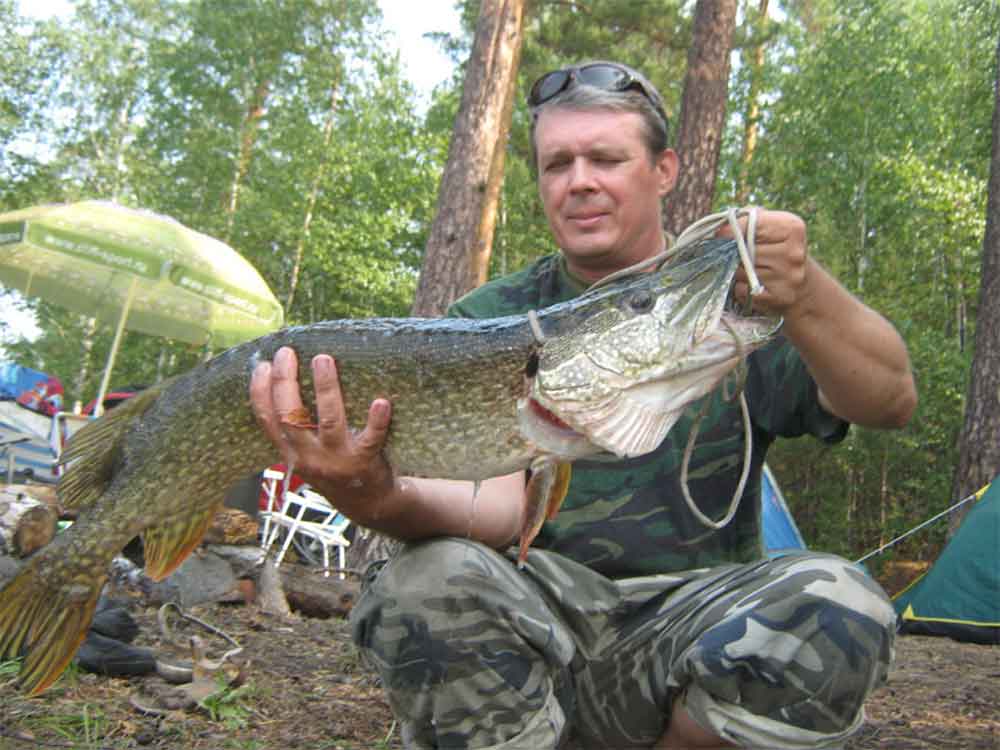 Щука 6 кг. Озеро Малый Агардяш (фото Куделенского Олега, Челябинск)