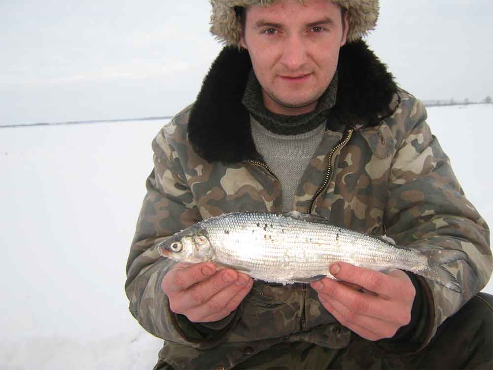 Февральский сиг. Озеро Касарги (фото Анатолия Петухова, Челябинск)